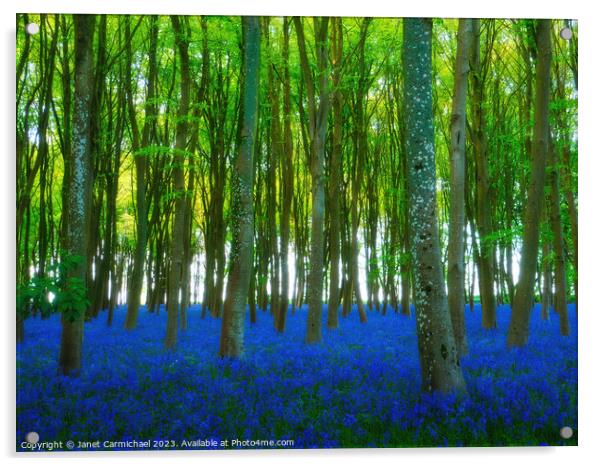 Ancient Bluebell Woods Acrylic by Janet Carmichael