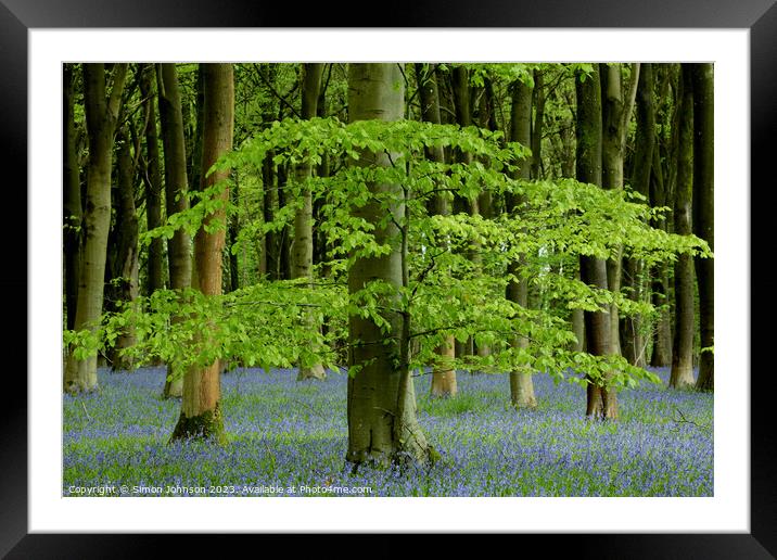 Plant tree Framed Mounted Print by Simon Johnson