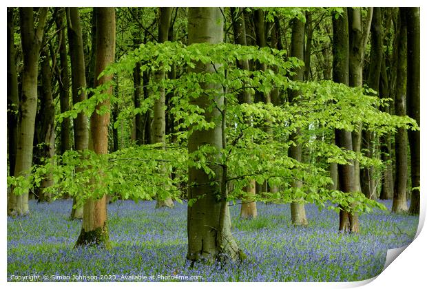 Plant tree Print by Simon Johnson