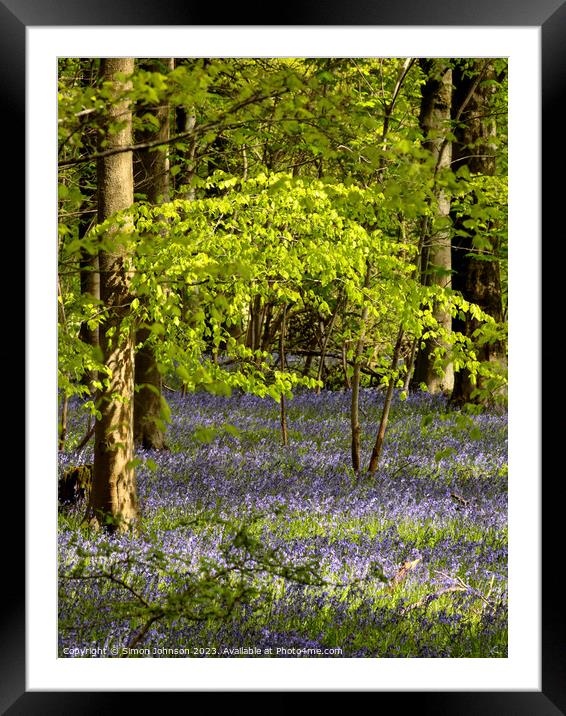 Bluebell Woodland Framed Mounted Print by Simon Johnson