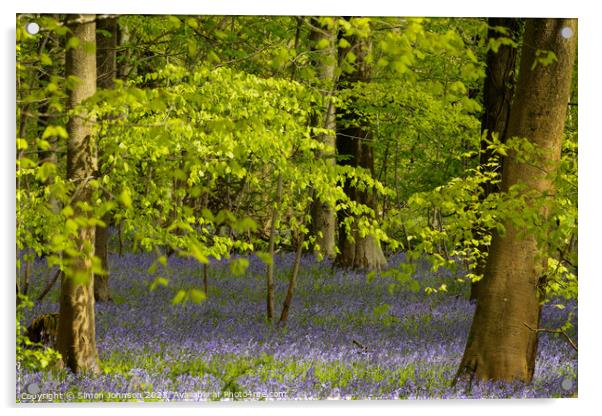 Bluebell Woodland Acrylic by Simon Johnson