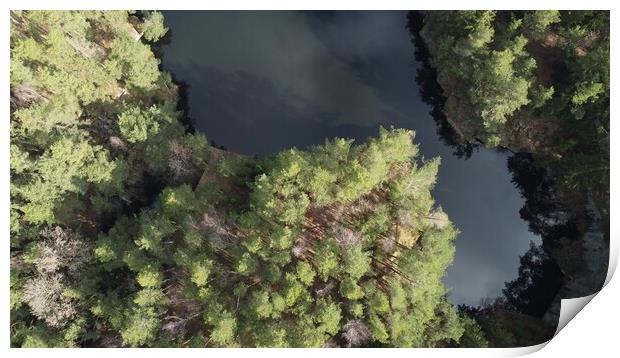 Lake surrounded by trees. Beautiful landscape in aerial drone shot. Print by Irena Chlubna