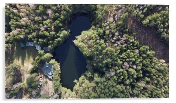 Lake surrounded by trees. Beautiful landscape in aerial drone shot. Acrylic by Irena Chlubna