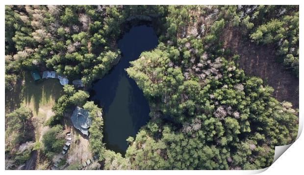 Lake surrounded by trees. Beautiful landscape in aerial drone shot. Print by Irena Chlubna