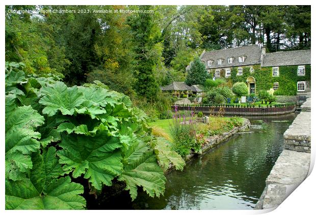 The Swan Hotel Bibury Print by Alison Chambers