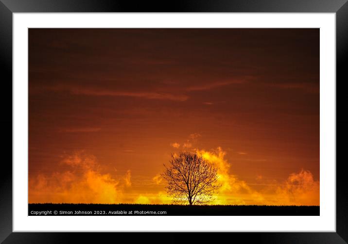 Tree silhouette at Sunrise  Framed Mounted Print by Simon Johnson