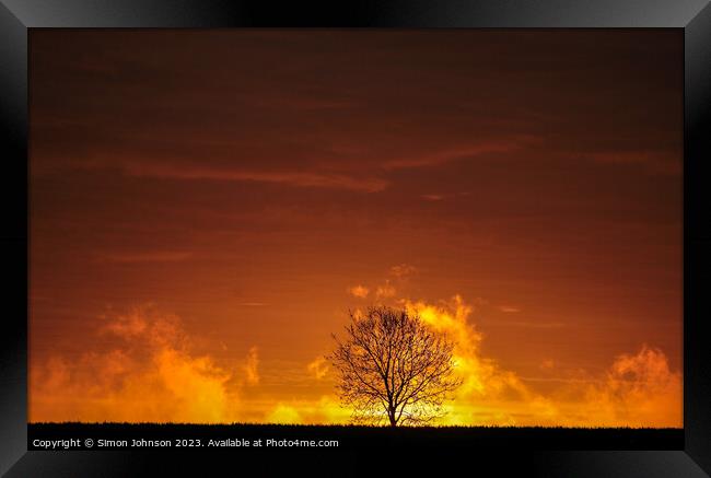 Tree silhouette at Sunrise  Framed Print by Simon Johnson