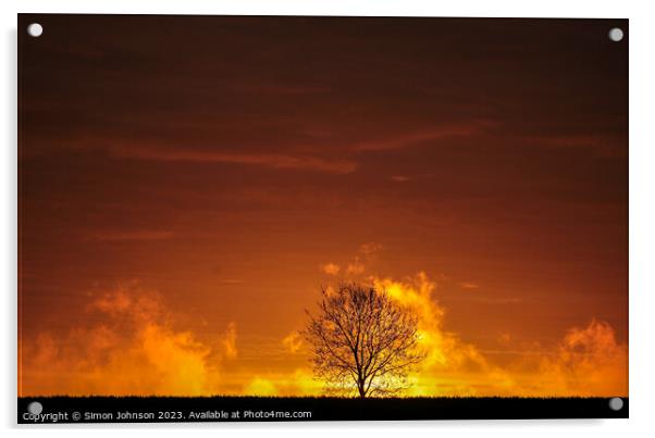 Tree silhouette at Sunrise  Acrylic by Simon Johnson