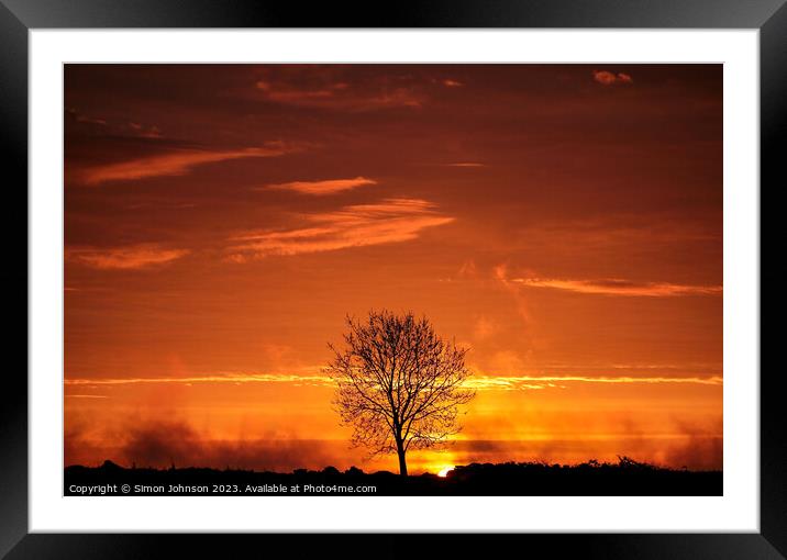 Tree Silhouette  Framed Mounted Print by Simon Johnson