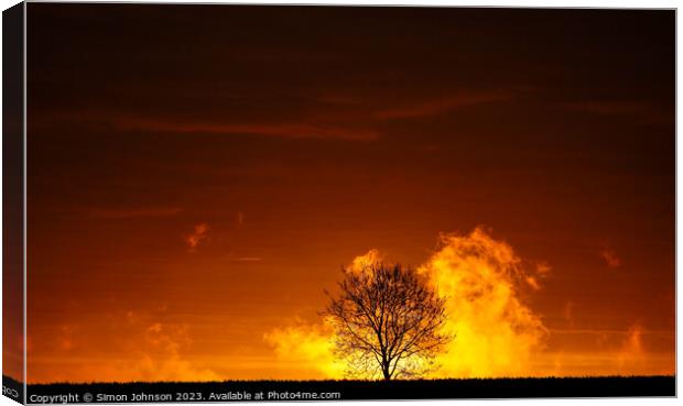 Tree silhouette at sunrise.  Canvas Print by Simon Johnson