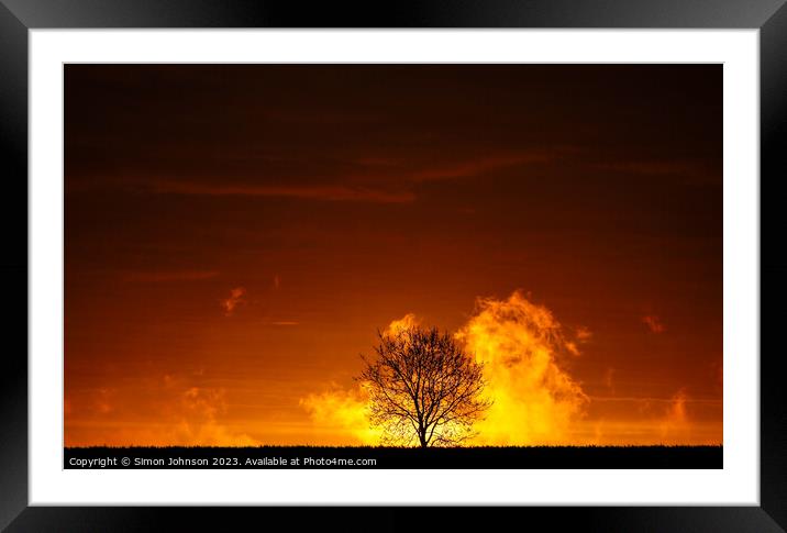 Tree silhouette at sunrise.  Framed Mounted Print by Simon Johnson