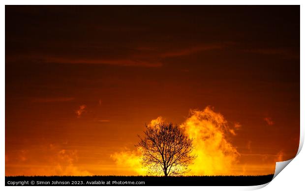 Tree silhouette at sunrise.  Print by Simon Johnson