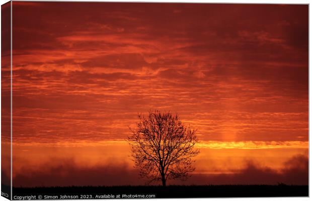 Tree silhouette sunrise  Canvas Print by Simon Johnson