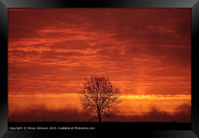Tree silhouette sunrise  Framed Print by Simon Johnson