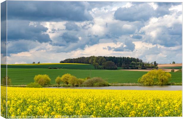 European landscape with spring fields. Canola fields. Canvas Print by Sergey Fedoskin