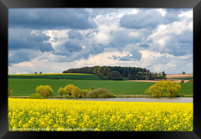 European landscape with spring fields. Canola fields. Framed Print by Sergey Fedoskin