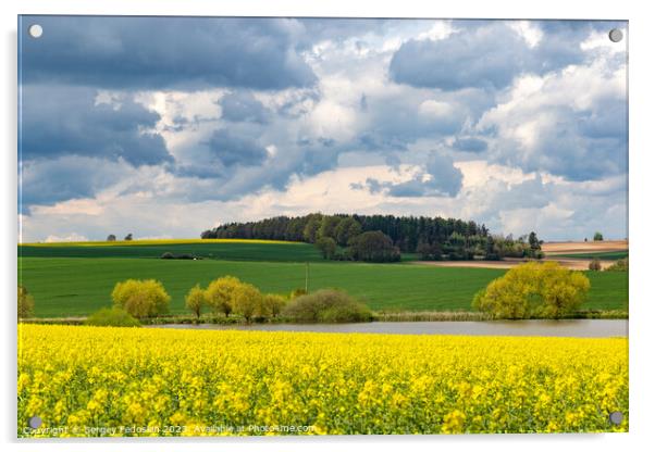 European landscape with spring fields. Canola fields. Acrylic by Sergey Fedoskin