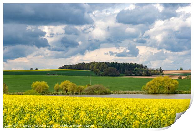 European landscape with spring fields. Canola fields. Print by Sergey Fedoskin