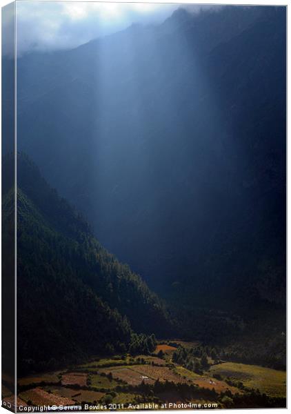 Fields Highlighted by Sunlight Pisang, Nepal Canvas Print by Serena Bowles