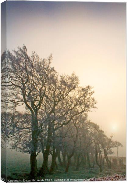 Misty Morning Sunrise Canvas Print by Les McLuckie