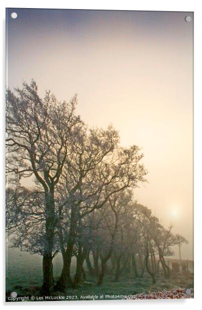 Misty Morning Sunrise Acrylic by Les McLuckie
