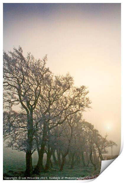 Misty Morning Sunrise Print by Les McLuckie
