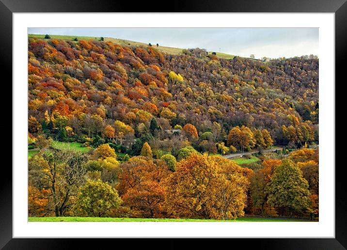 Autumn colour at Mytholmrord Framed Mounted Print by David Birchall