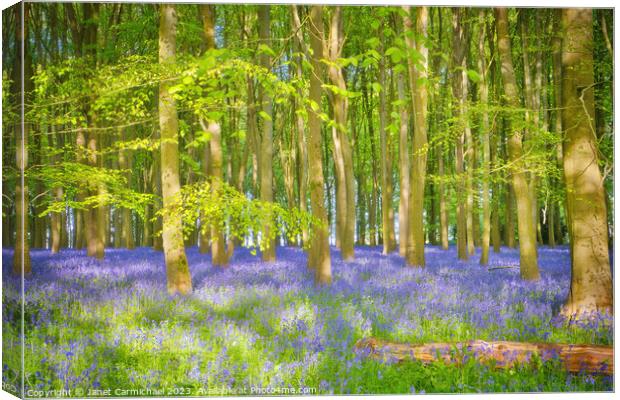 Dappled Sunlight in the Bluebell Woods Canvas Print by Janet Carmichael