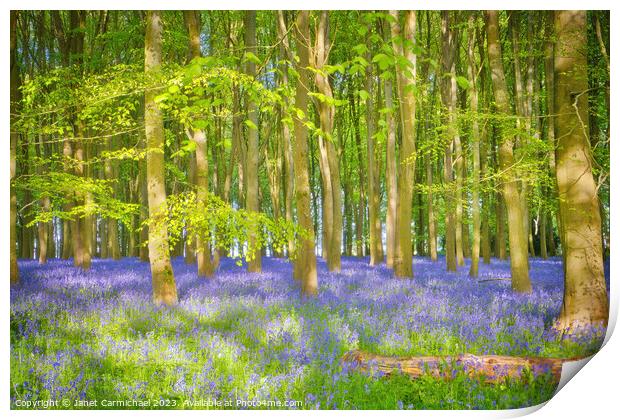 Dappled Sunlight in the Bluebell Woods Print by Janet Carmichael