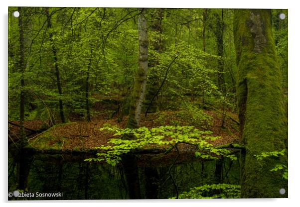 In deep Forest... Acrylic by Elzbieta Sosnowski