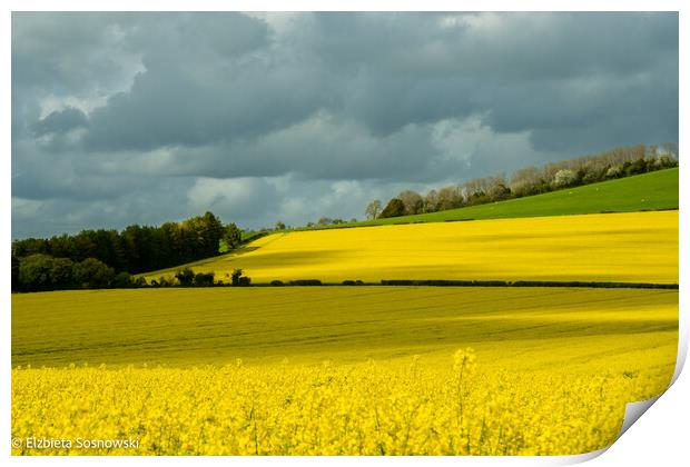 Outdoor field Print by Elzbieta Sosnowski