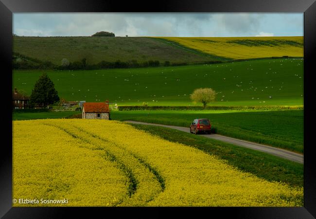 Red car Framed Print by Elzbieta Sosnowski