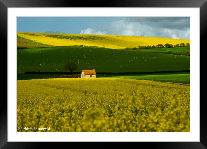 line of colours Framed Mounted Print by Elzbieta Sosnowski