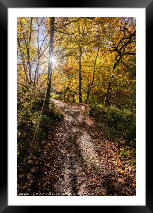 Autumn Walk at New Lanark, Scotland Framed Mounted Print by Fraser Duff