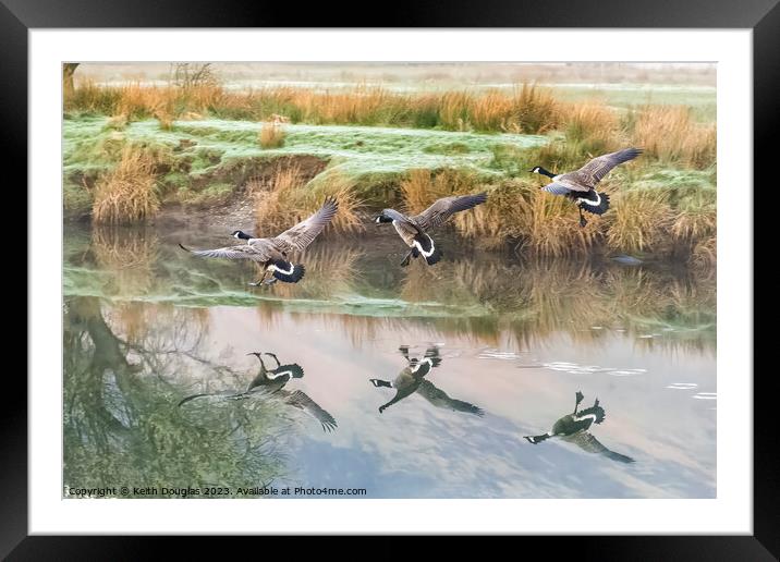 Coming in to land Framed Mounted Print by Keith Douglas