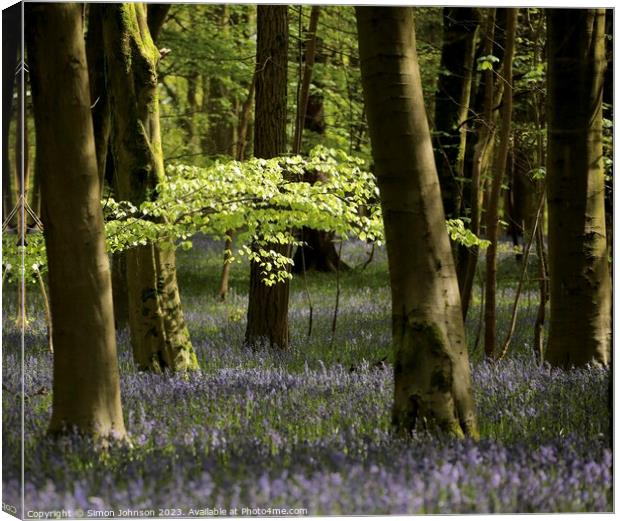 Sunlit leaves and Bluebells  Canvas Print by Simon Johnson