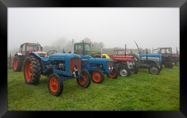 Group of Ferguson tractors Framed Print by kathy white