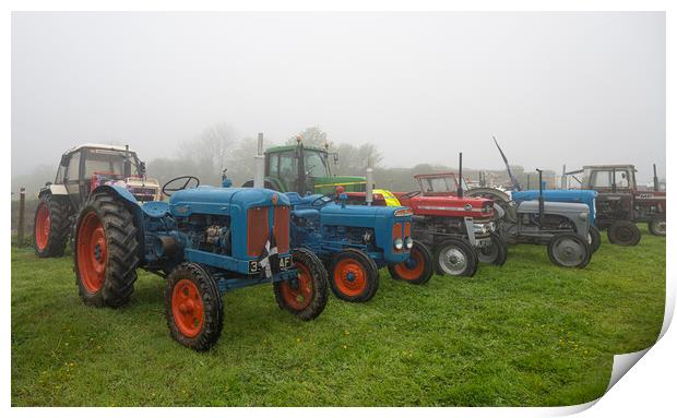 Group of Ferguson tractors Print by kathy white