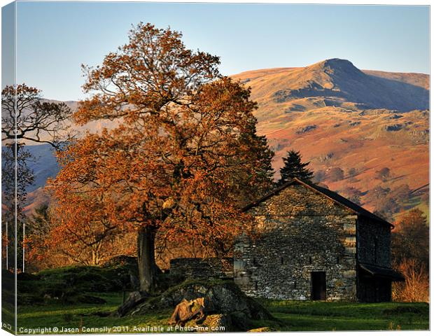 The Tree And Barn, Ambleside Canvas Print by Jason Connolly