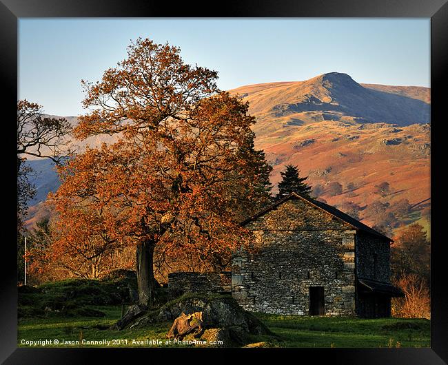 The Tree And Barn, Ambleside Framed Print by Jason Connolly
