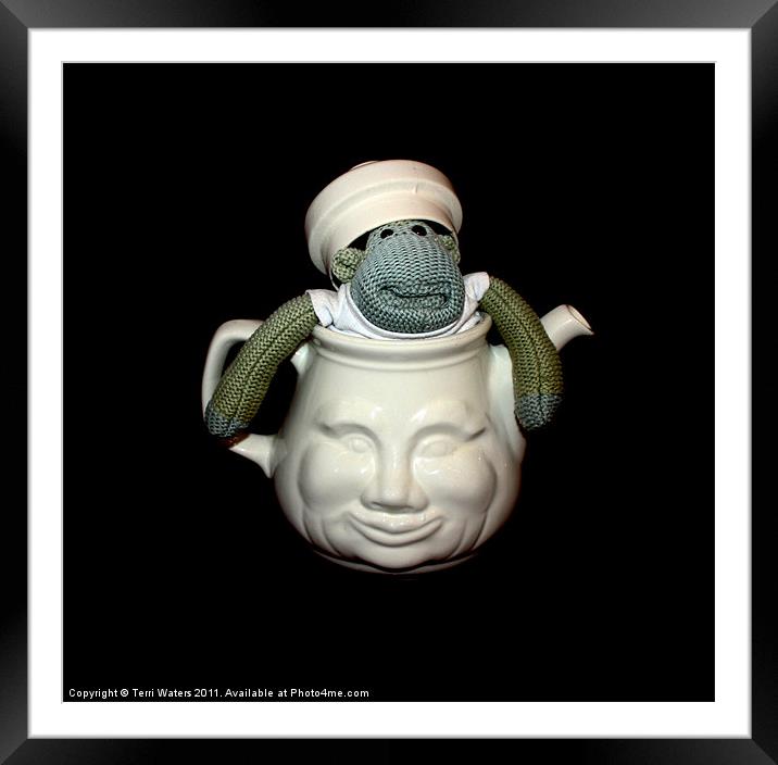 Monkey in a Tea Pot Framed Mounted Print by Terri Waters