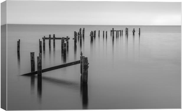 Peaceful Serenity of Swanage Pier Canvas Print by Daniel Rose