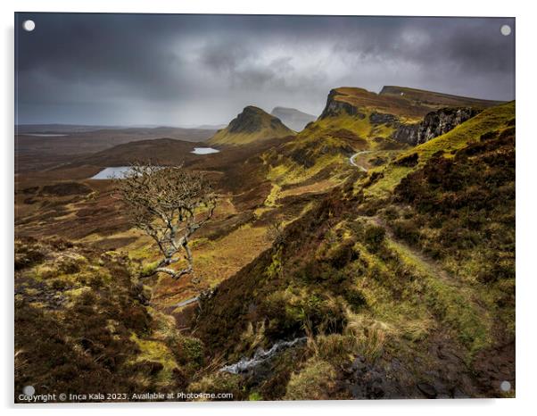 The Quiraing View and its Famous Lonely Tree Acrylic by Inca Kala