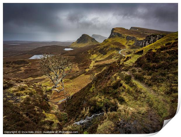 The Quiraing View and its Famous Lonely Tree Print by Inca Kala