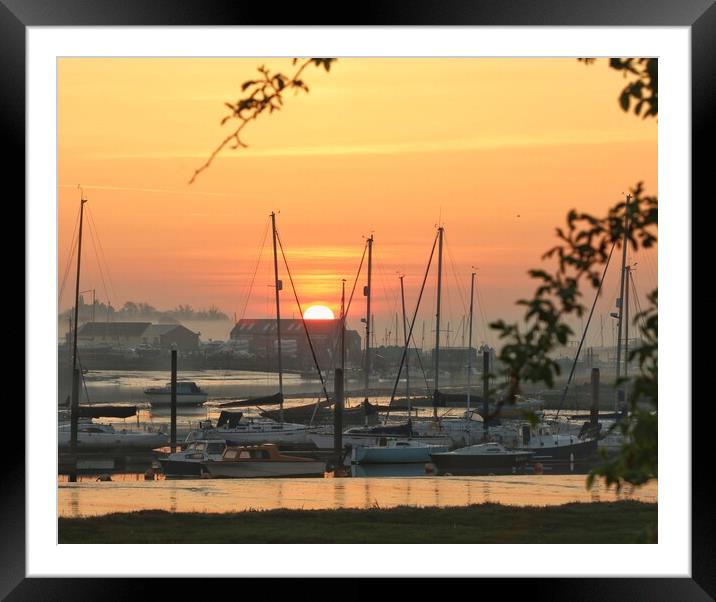 Sunrise over the Brightlingsea moorings  Framed Mounted Print by Tony lopez