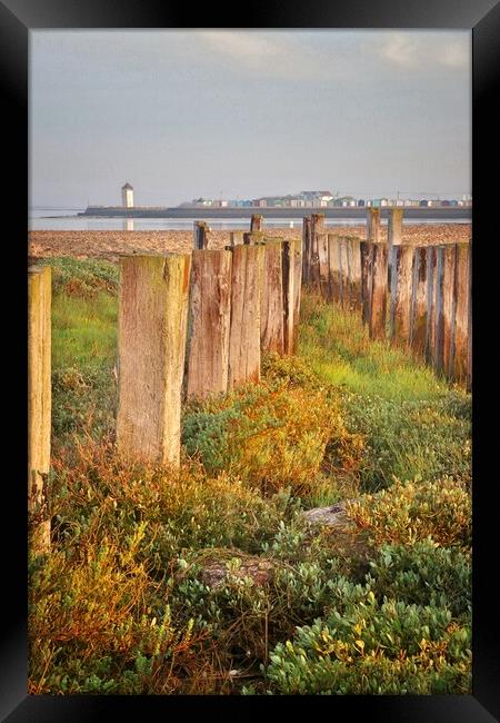 Views over point clear to Brightlingsea  Framed Print by Tony lopez