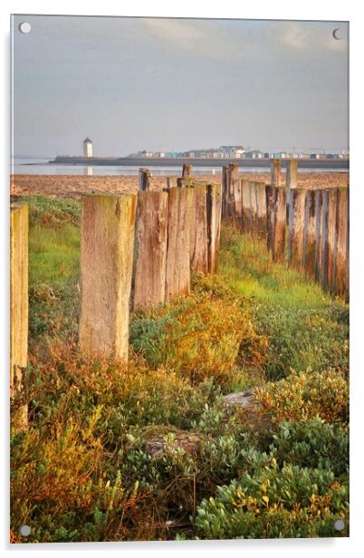 Views over point clear to Brightlingsea  Acrylic by Tony lopez