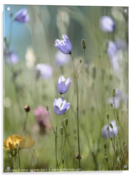 meadow Flowers  Acrylic by Simon Johnson