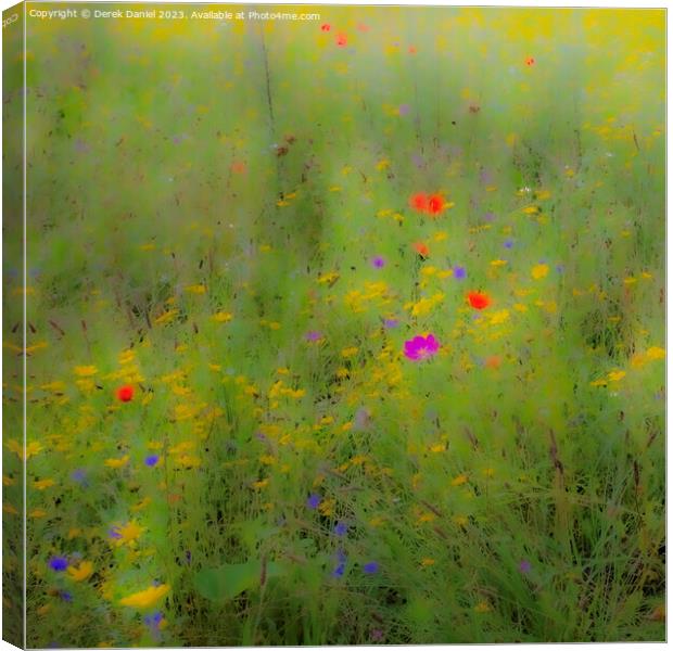 Dreamy Meadow Canvas Print by Derek Daniel