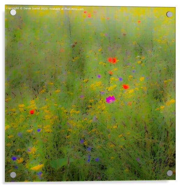 Dreamy Meadow Acrylic by Derek Daniel